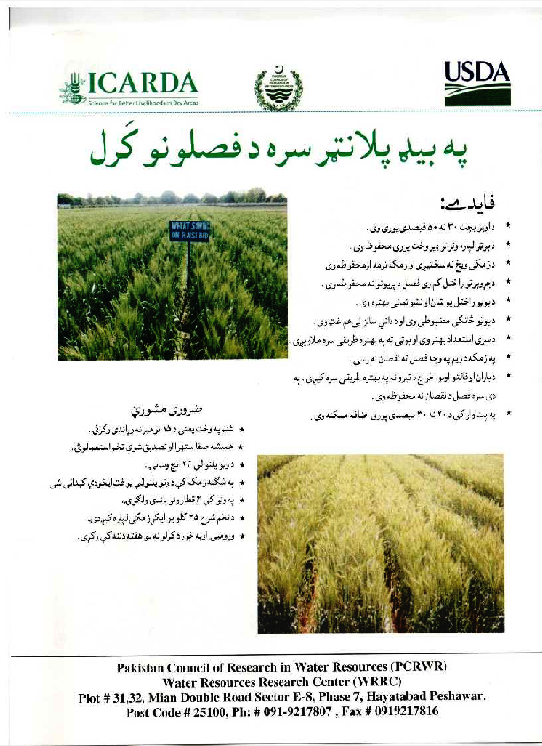 Wheat Cultivation on beds in Pashto