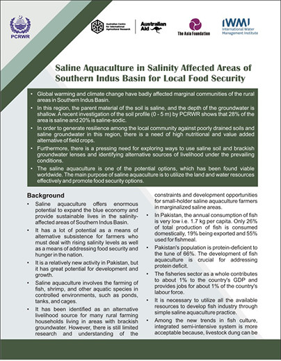 Saline Aquaculture in Salinity Affected Areas of Southern Indus Basin for Local Food Security
