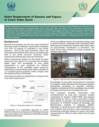 Water Requirement of Banana and Papaya in Lower Indus Basin