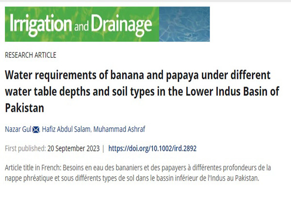 Water requirements of banana and papaya under different water table depths and soil types in the Lower Indus Basin of Pakistan