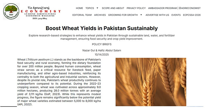 Boost Wheat Yields in Pakistan Sustainably Explore research-based strategies to enhance wheat yields in Pakistan through sustainable land, water, and fertilizer management, ensuring food security and crop yield improvement.